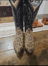 Eastern diamondback rattlesnak for sale  Lakewood
