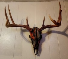 Monster point kansas for sale  Evansville