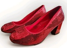Rubies wizard secret for sale  Mesa
