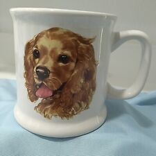 teacup cocker spaniel for sale teacup cocker spaniel for sale Ocala