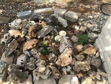 Texas natural holey for sale  Austin