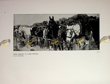 Mixed company race for sale  BOURNEMOUTH