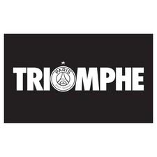 Patch thermo triomphe d'occasion  Woippy