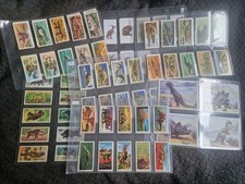 Complete dinosaur tea for sale  SUTTON COLDFIELD