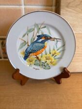 Coimbra pottery plate for sale  HUNTINGDON