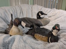 Valhalla duck canada for sale  New Port Richey