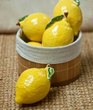 Limoni della costiera usato  Tramonti