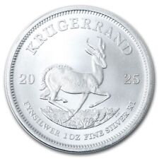 Afrique sud argent usato  Spedire a Italy