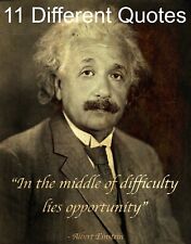 Albert einstein poster for sale  RICKMANSWORTH