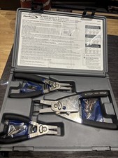 New blue point for sale  UK