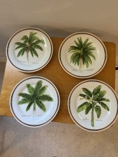 Florida marketplace palm for sale  Parrish