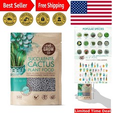 Succulents cactus plant for sale  Denver
