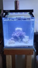 Aqua one nanoreef for sale  NANTWICH