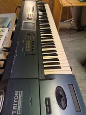 Korg triton extreme gebraucht kaufen  Penzberg