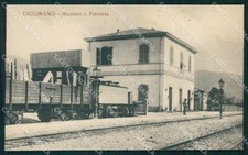 Firenze dicomano stazione usato  Gambolo
