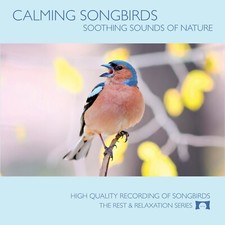 Calming songbirds soothing for sale  Exeter