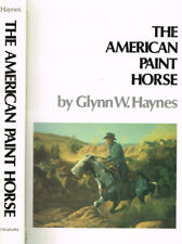 The american paint usato  Italia