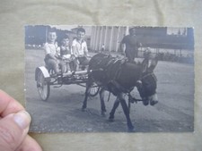 Cartolina rimini 1957 usato  Bologna