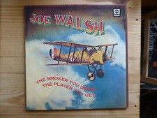 Joe walsh the gebraucht kaufen  Kollmar