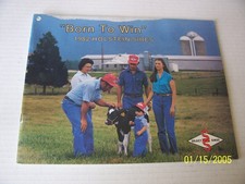 holstein friesian for sale  Dillsboro