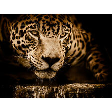 Jaguar head big for sale  EDINBURGH
