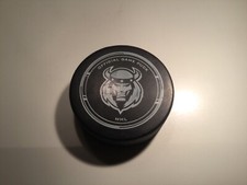 Ice hockey puck.woodstock for sale  WORCESTER