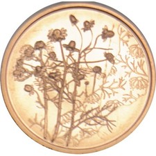 Euro austria 2023 usato  Italia