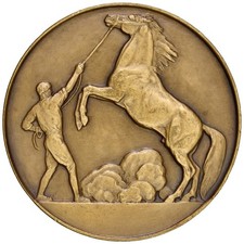 Medaglia ministero dell usato  Italia