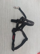 Halti dog pet for sale  MARKET HARBOROUGH