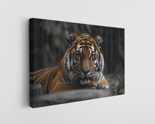 Tiger canvas print for sale  Houston