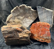 Mixed box petrified for sale  Fountain Valley