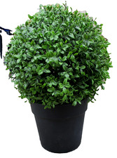 Large artificial boxwood for sale  CHELTENHAM