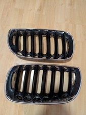 Bmw e83 nieren gebraucht kaufen  Walsrode