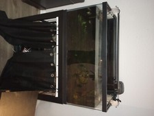 Gallons aquarium fish for sale  Fort Worth
