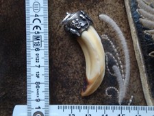sauzahn gebraucht kaufen sauzahn gebraucht kaufen Berglern