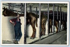 Fireproof mule barn for sale  Terre Haute