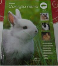 Coniglio nano caratteristiche usato  Rimini