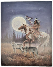 Vintage native american for sale  Chester