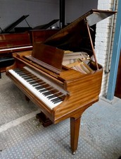 Marshall rose antique for sale  MACCLESFIELD