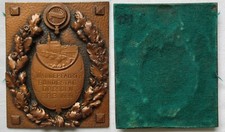 Bronze plakettewanderfahrt bun gebraucht kaufen  Borna