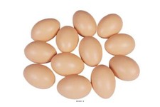 Oeuf poule brun d'occasion  France