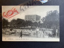 Norwich castle cattle for sale  NORWICH