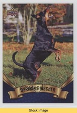 2018 upper deck d'occasion  Expédié en Belgium
