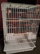 White small parrot for sale  MANSFIELD