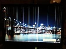 Lcd philips lp171wp5 usato  Torrenova