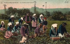 Old postcard plougastel d'occasion  Expédié en Belgium