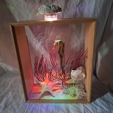 Vitrine hippocampe cabinet d'occasion  Champagnole