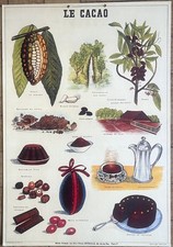 Ancienne affiche scolaire d'occasion  Lyon VII