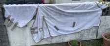 Epic heavy horse for sale  SAUNDERSFOOT