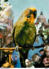 Animals birds the d'occasion  Expédié en Belgium